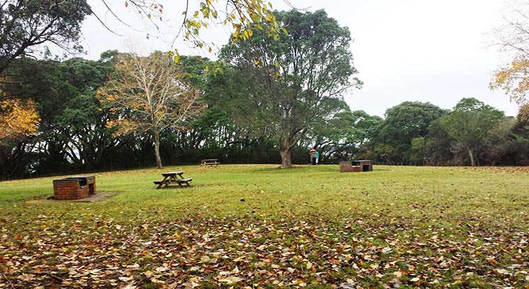 Awhitu Peninsula campground - Barbecues and picnic tables.